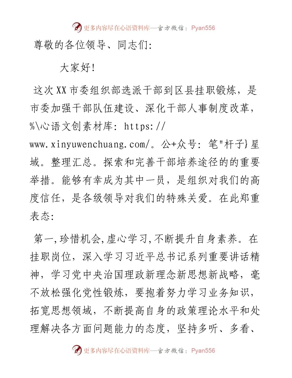市选派干部赴区县挂职锻炼表态发言.docx_第1页