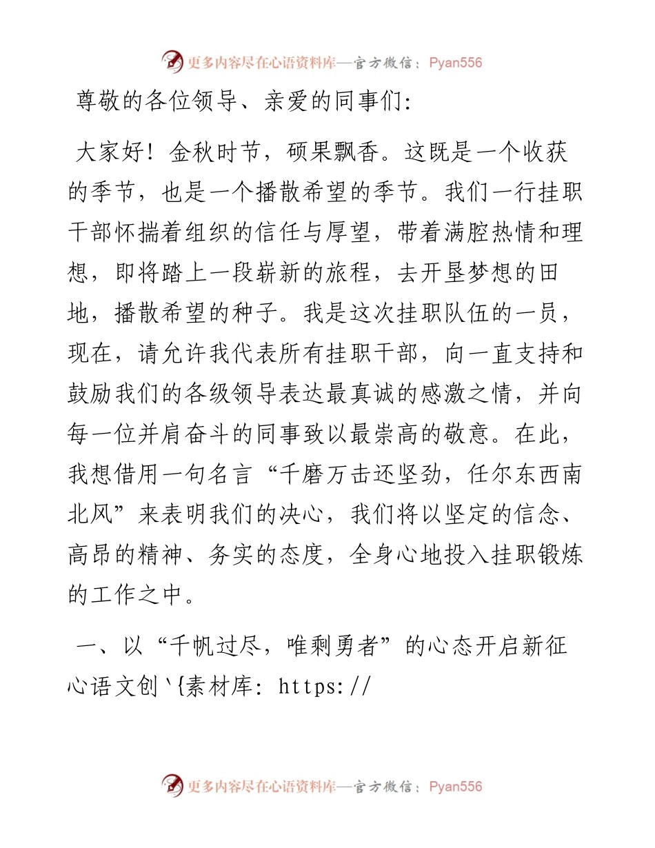 挂职干部代表表态发言.docx_第1页