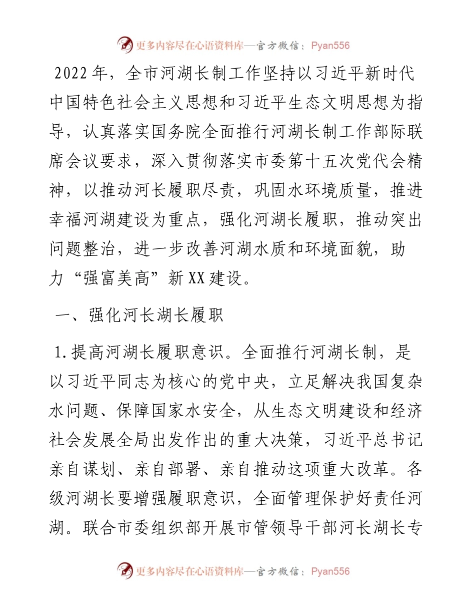 度X市河湖长制工作要点.docx_第1页