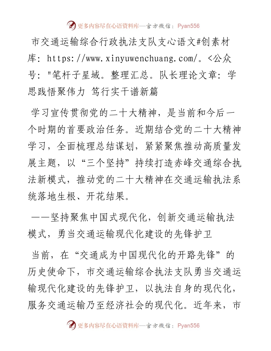 市交通运输综合行政执法支队支队长学习二十大精神理论文章：学思践悟聚伟力 笃行实干谱新篇.docx_第1页