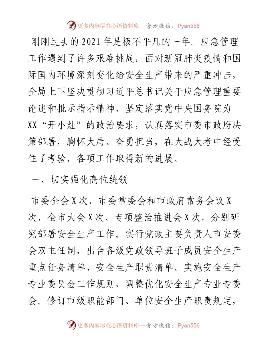 应急管理局工作总结(1).docx_第1页