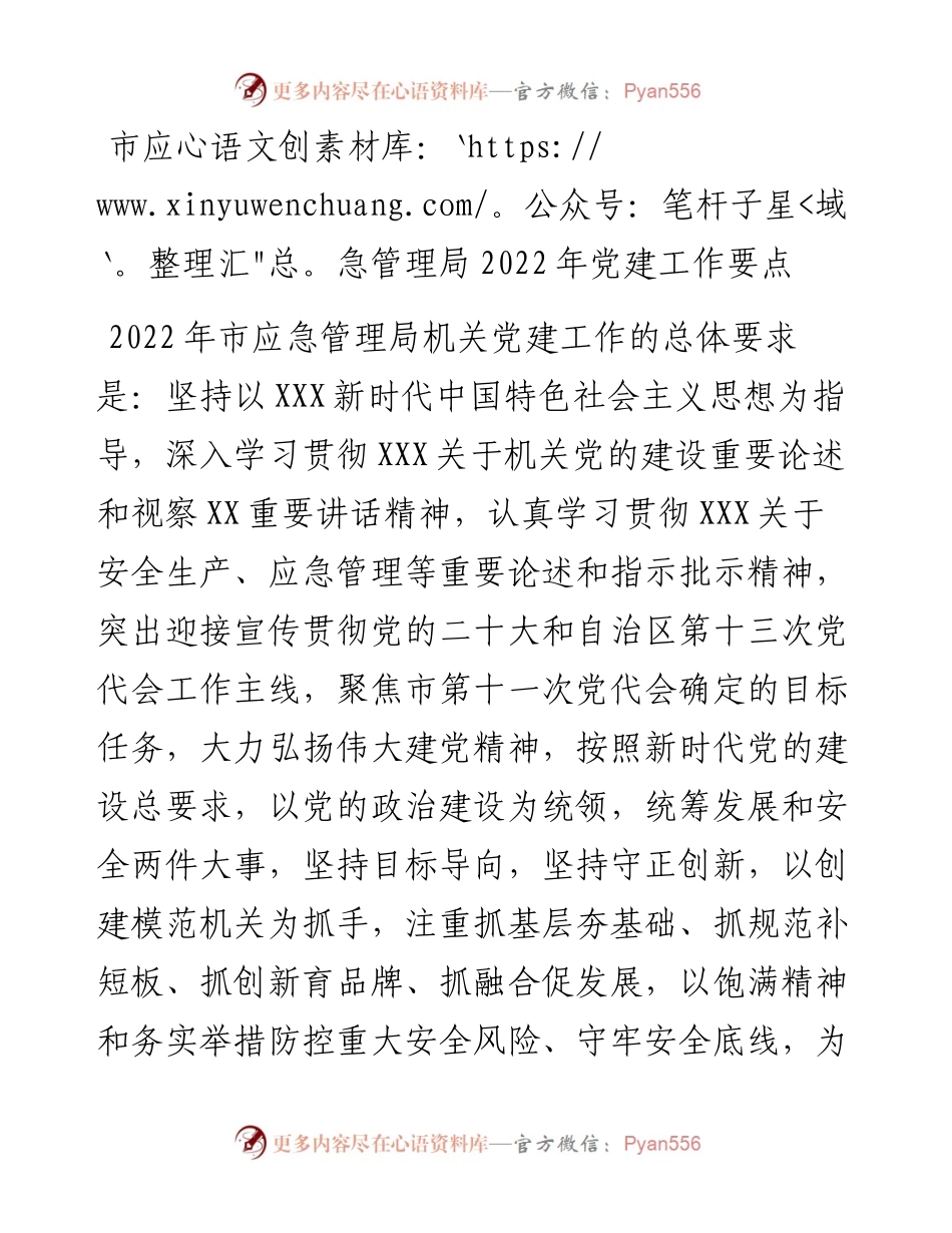 市应急管理局202X年党建工作要点.docx_第1页