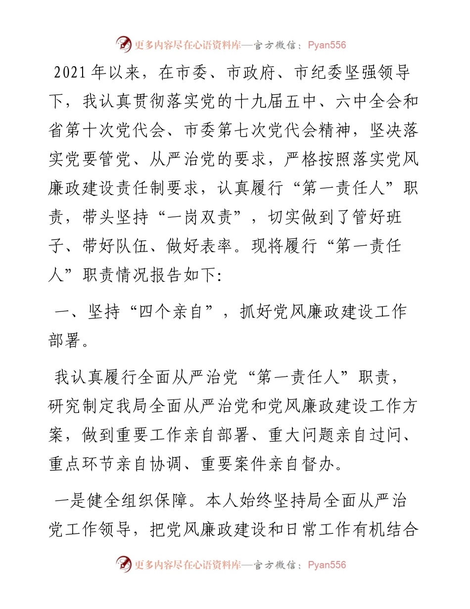 市审计局党组书记落实第一责任人责任情况报告.docx_第1页