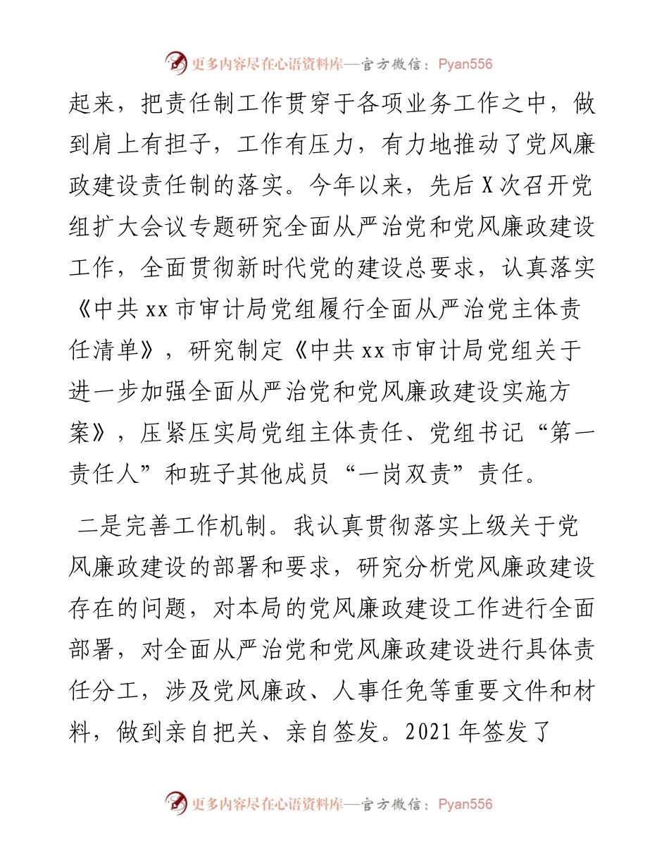 市审计局党组书记落实第一责任人责任情况报告.docx_第2页