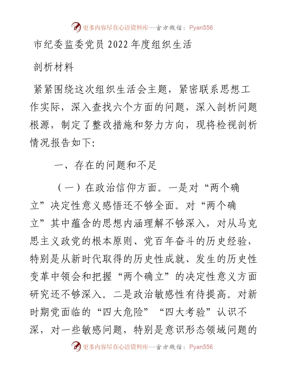 市纪委监委党员度组织生活剖析材料.docx_第1页