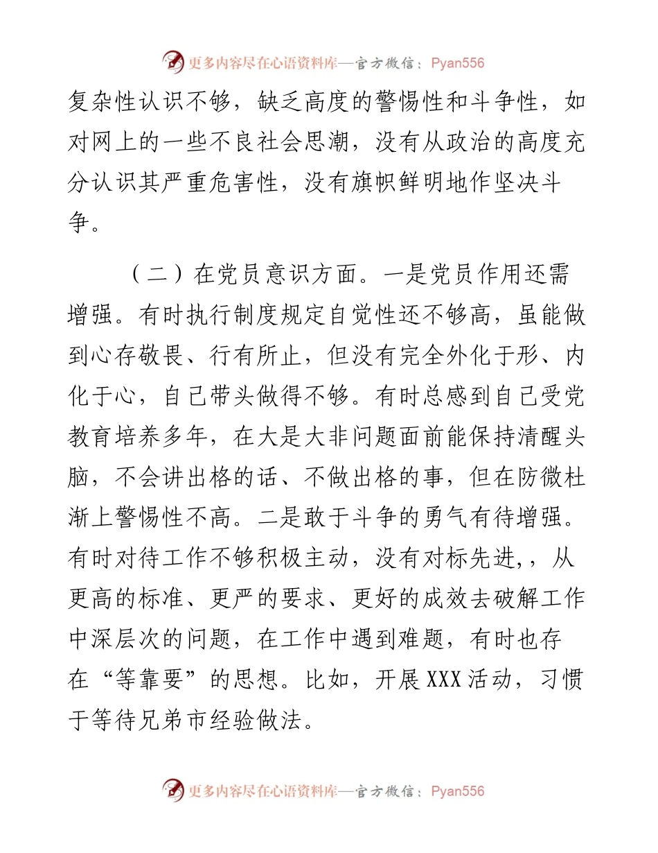市纪委监委党员度组织生活剖析材料.docx_第2页