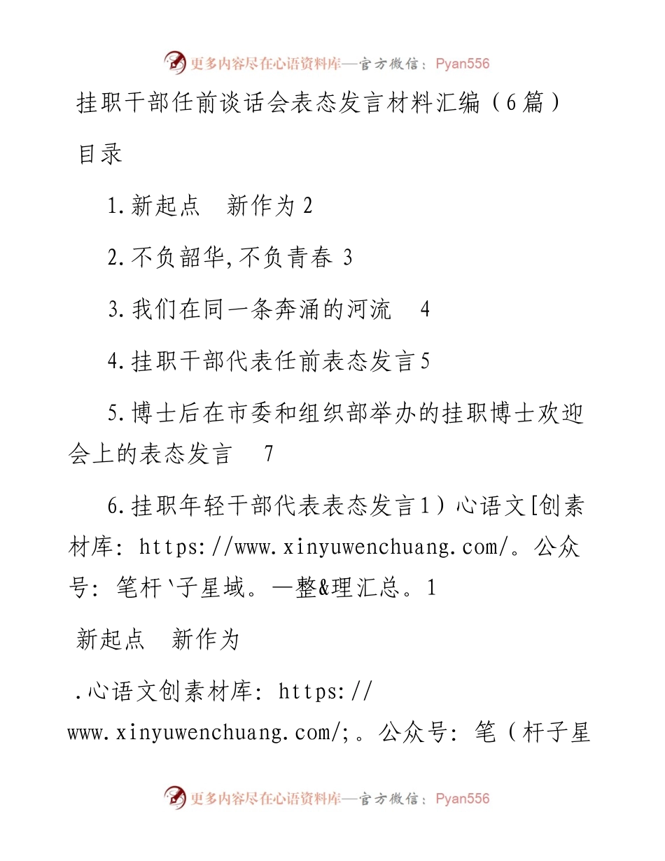 文汇系列119--挂职干部任前谈话会表态发言材料汇编（6篇）.docx_第1页