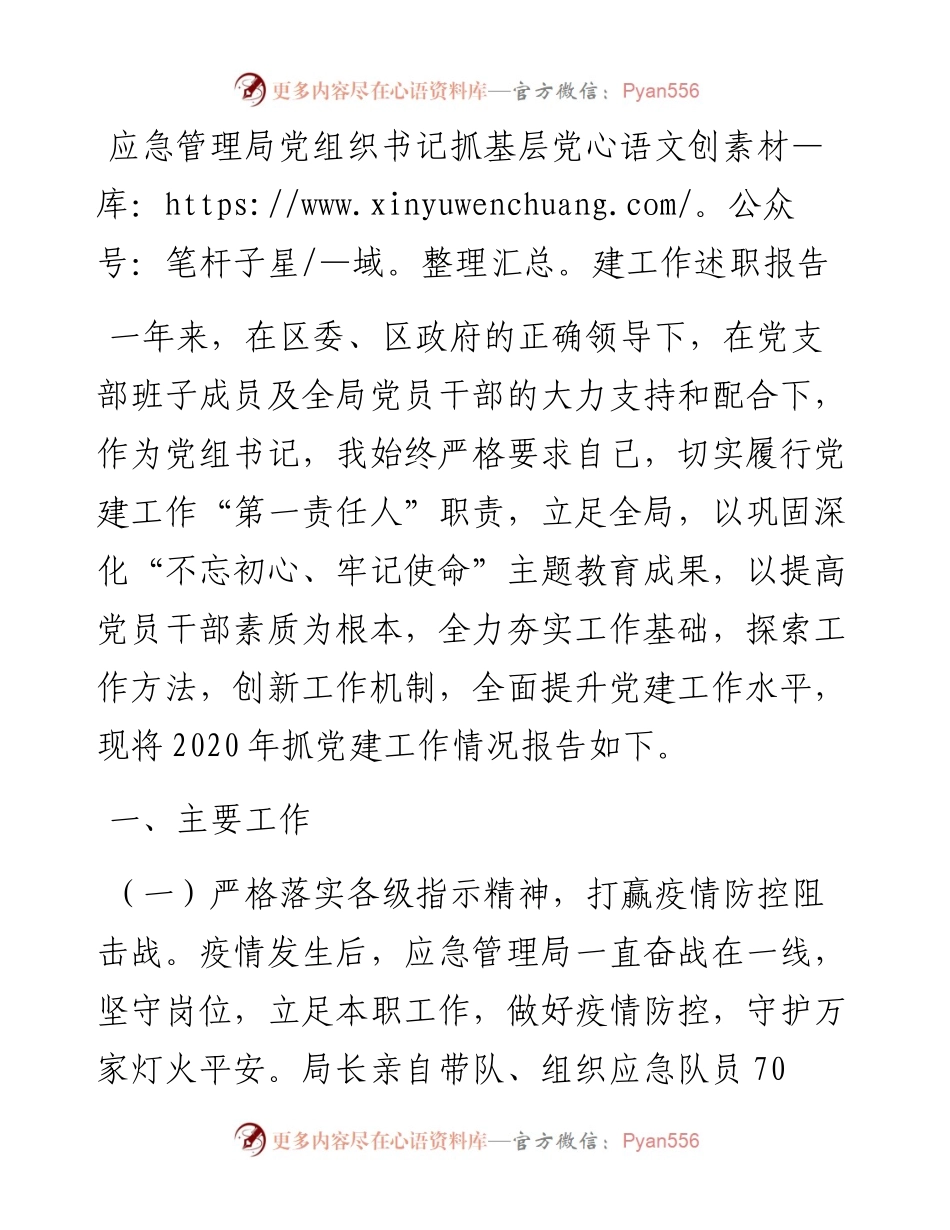 应急管理局党组织书记抓基层党建工作述职报告.docx_第1页