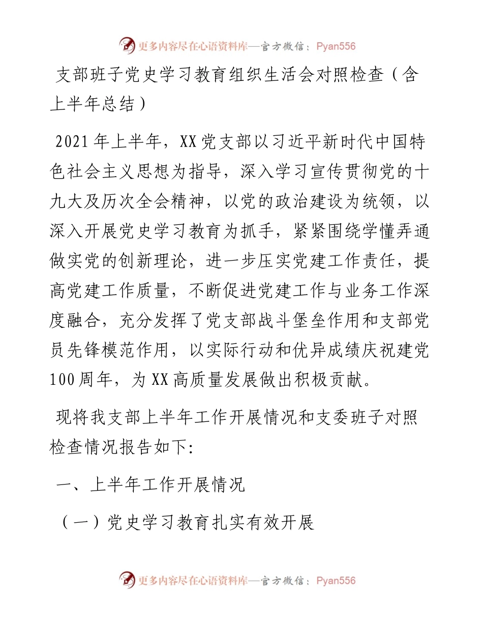 支部班子党史学习教育组织生活会对照检查（含上半年总结）.docx_第1页