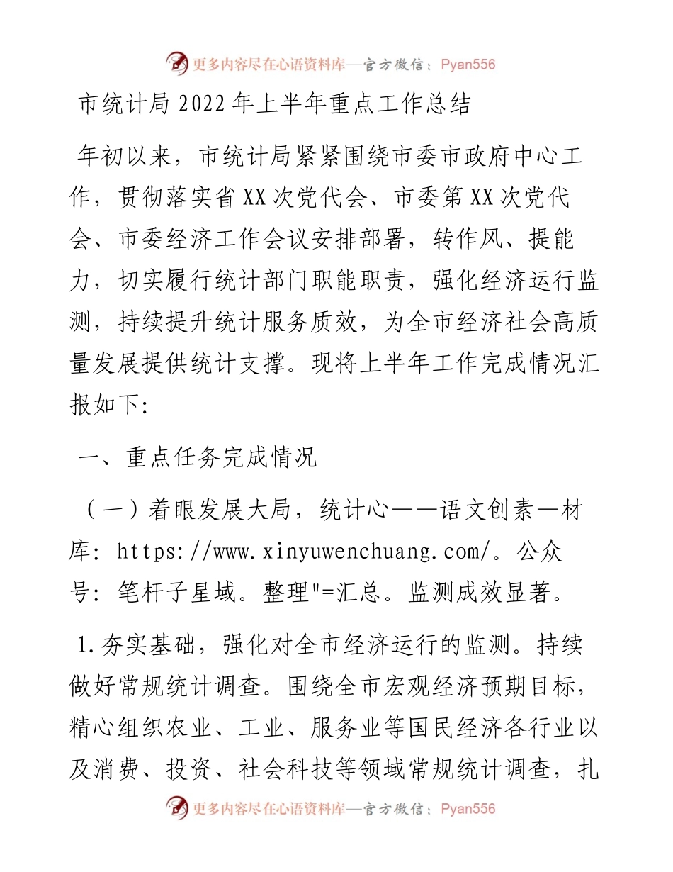 市统计局上半年重点工作总结.docx_第1页