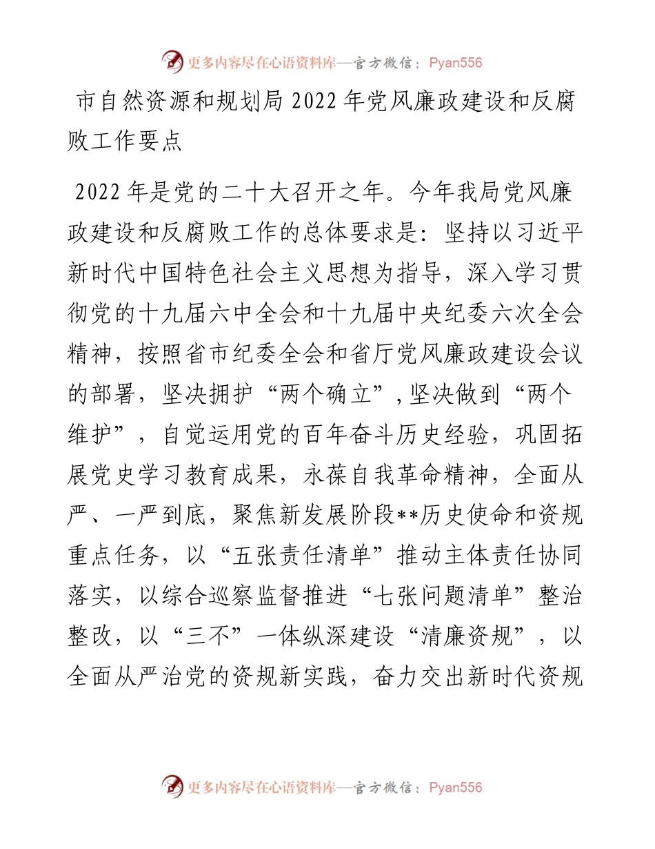 市自然资源和规划局202X年党风廉政建设和反腐败工作要点.docx_第1页