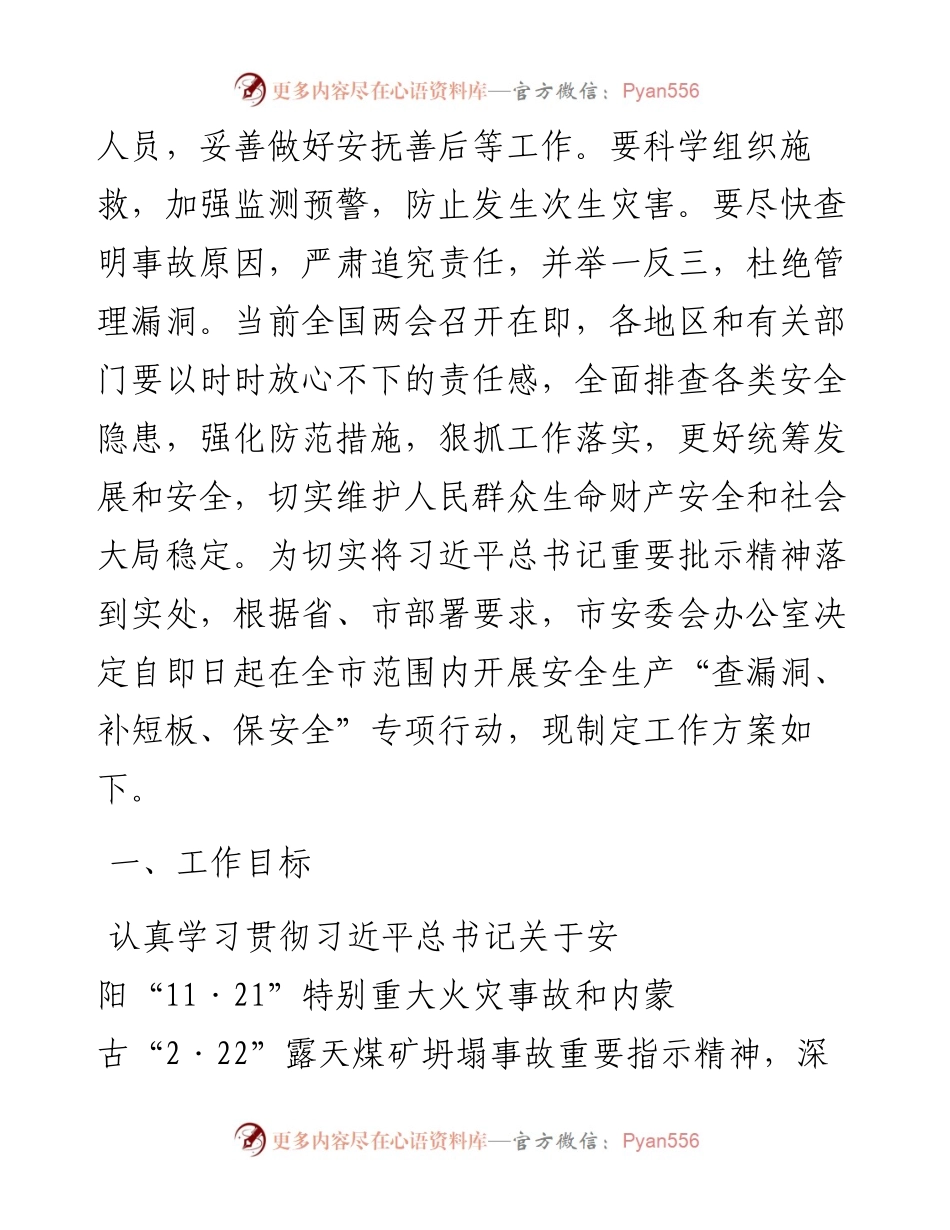 市安全生产“查漏洞、补短板、保安全”专项行动方案.docx_第2页