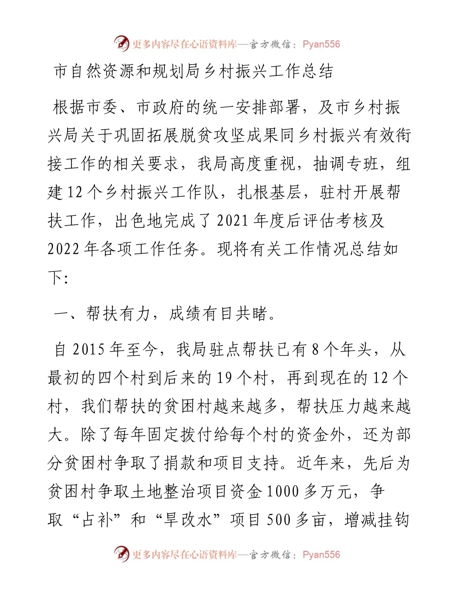 市自然资源和规划局乡村振兴工作总结.docx_第1页