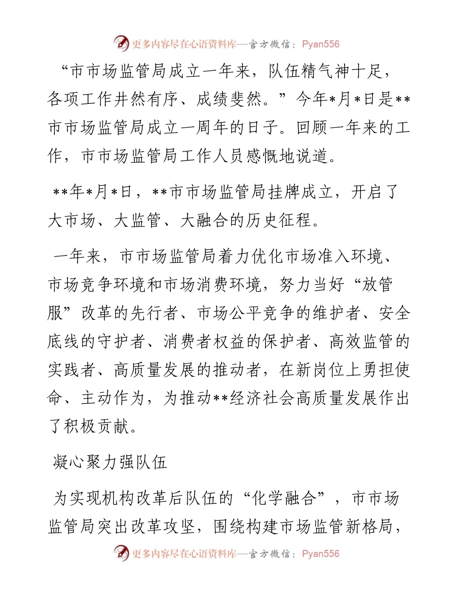 市市场监督管理局成立一周年工作纪实.docx_第1页