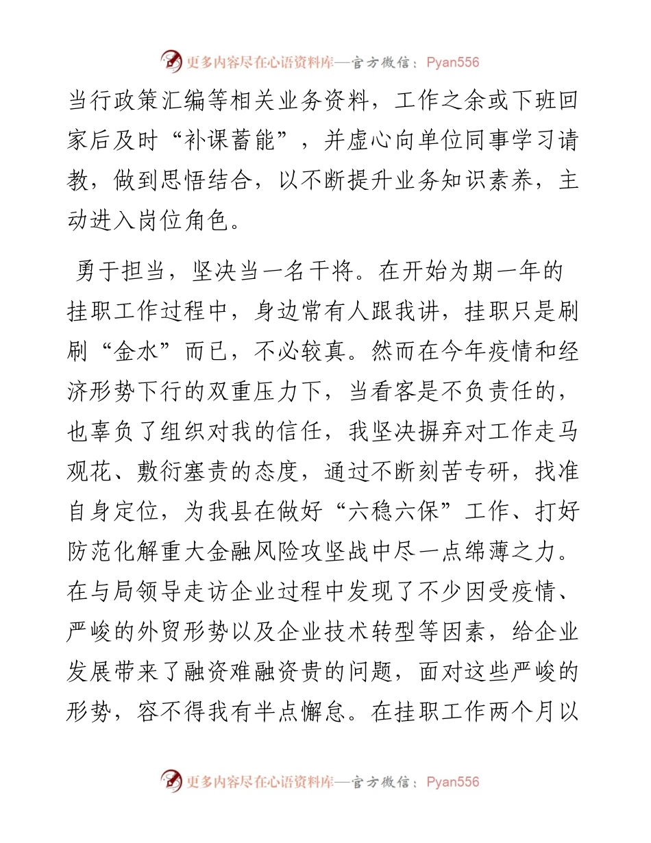 挂职干部个人工作总结3篇.docx_第2页