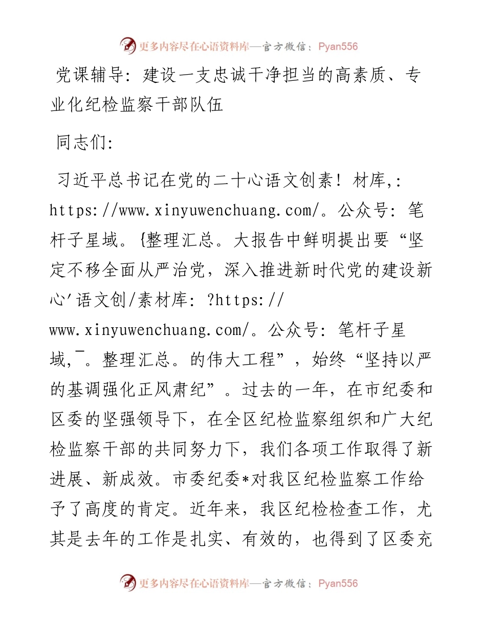 建设一支忠诚干净担当的高素质、专业化纪检监察干部队伍.docx_第1页