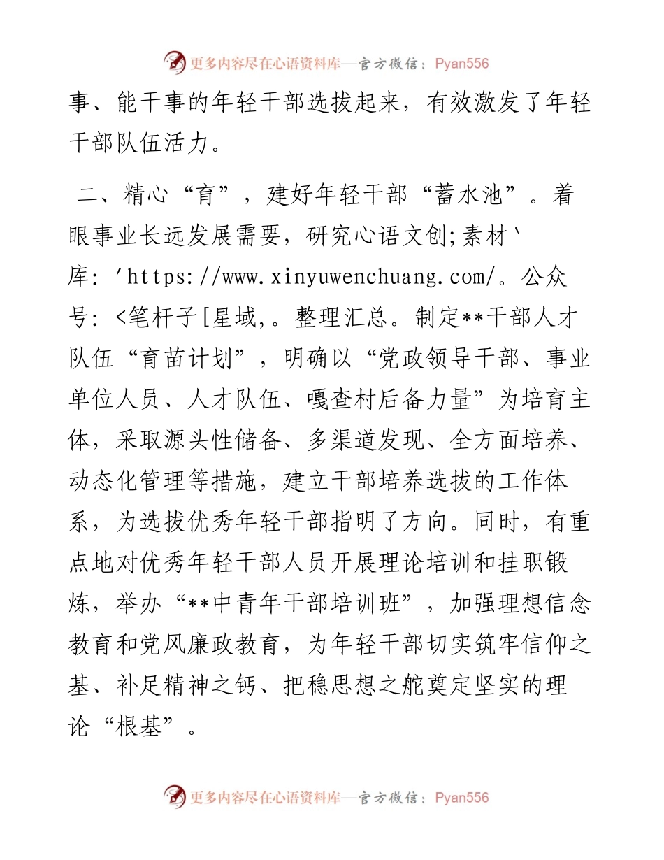 年轻干部队伍建设工作汇报.docx_第2页