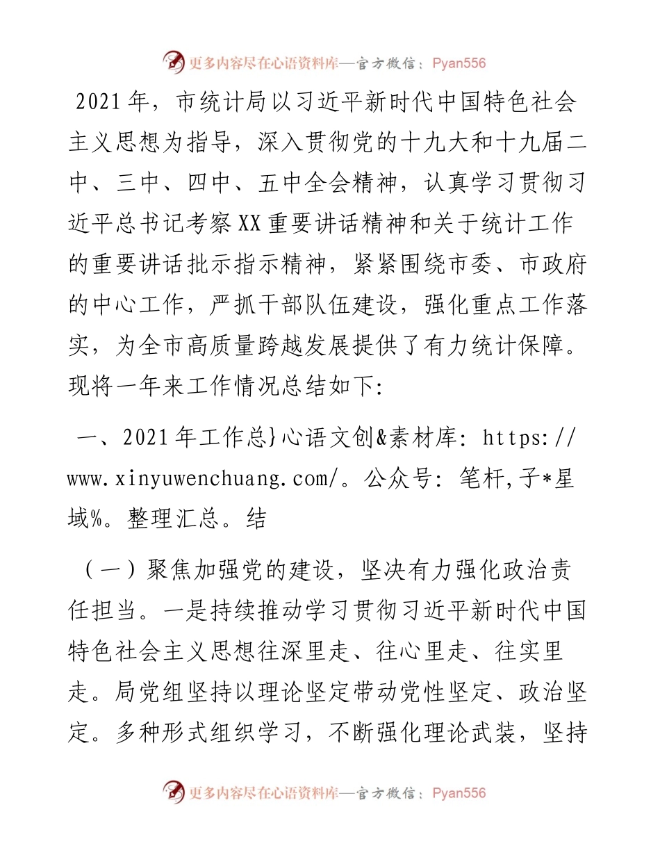 市统计局工作总结和工作计划.docx_第1页