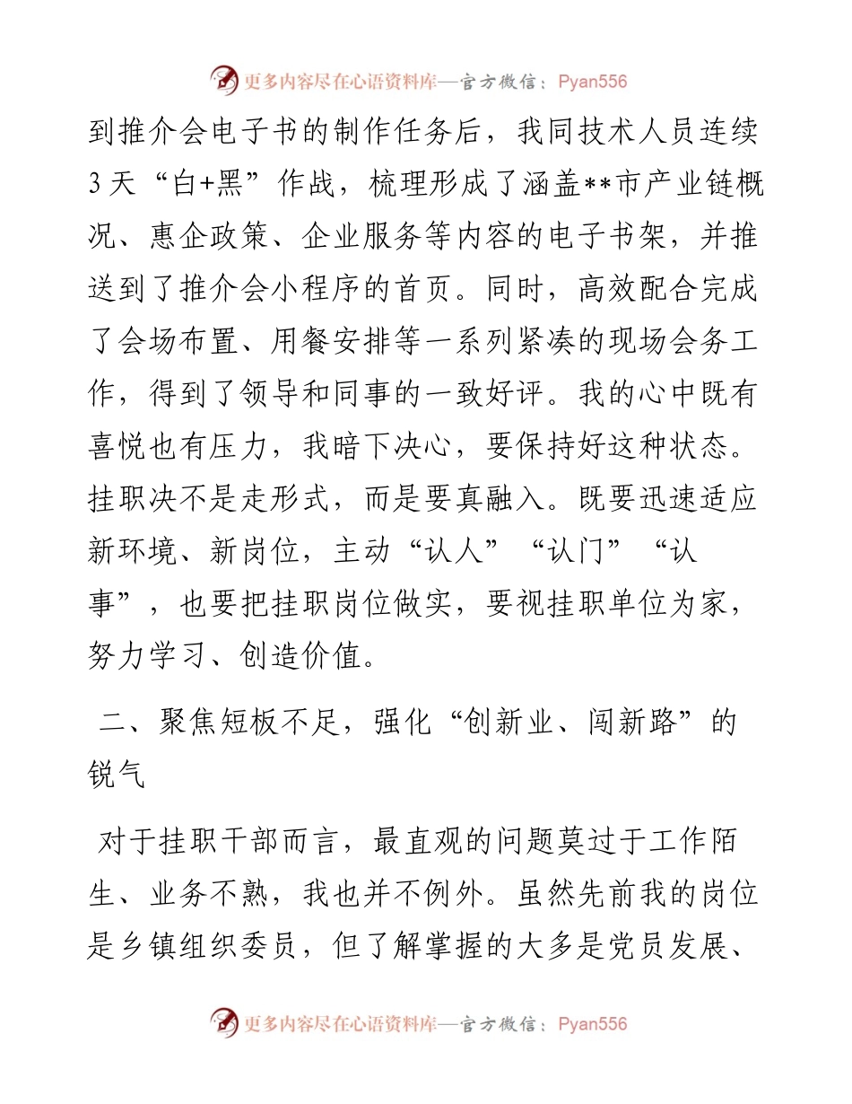 挂职干部座谈交流发言.docx_第2页