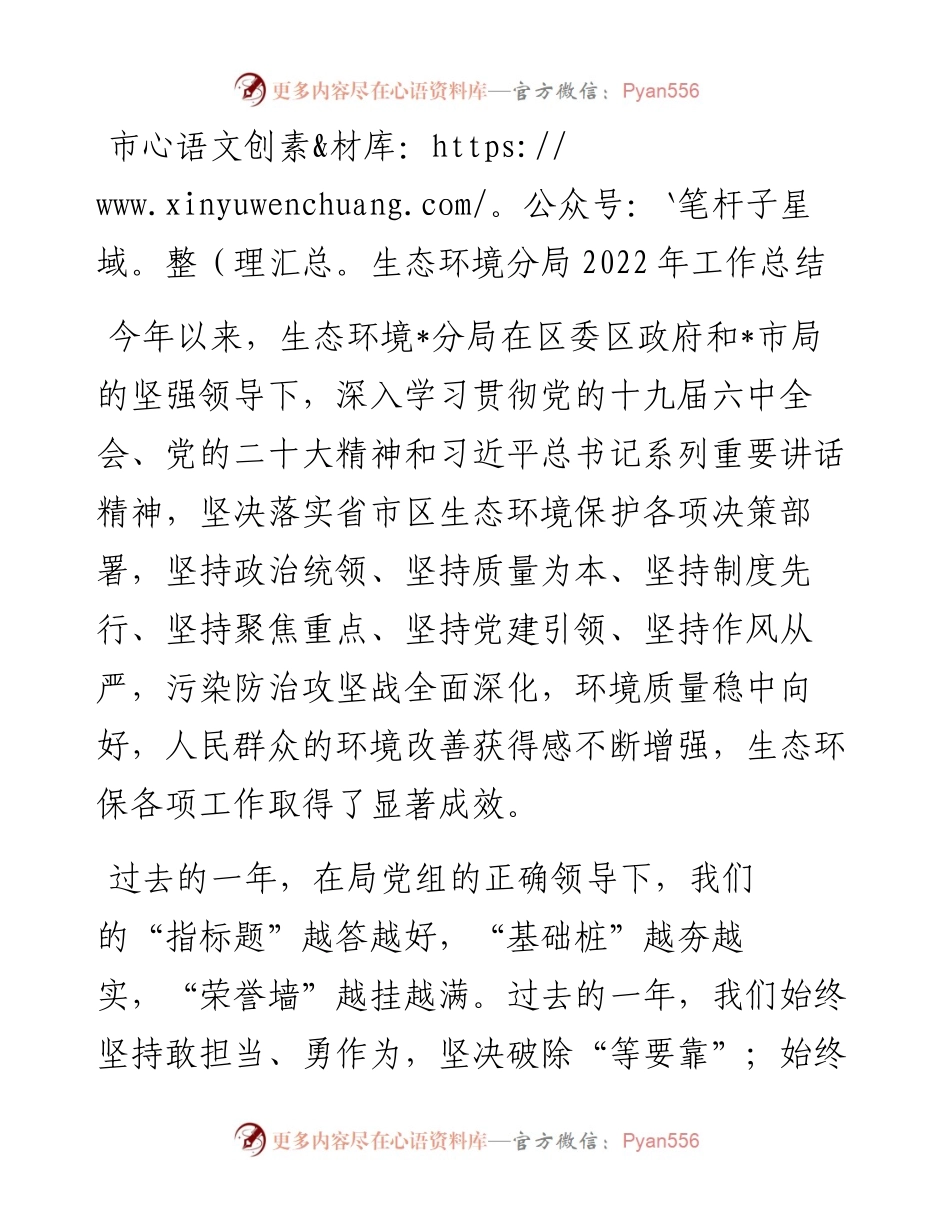 市生态环境分局工作总结.docx_第1页