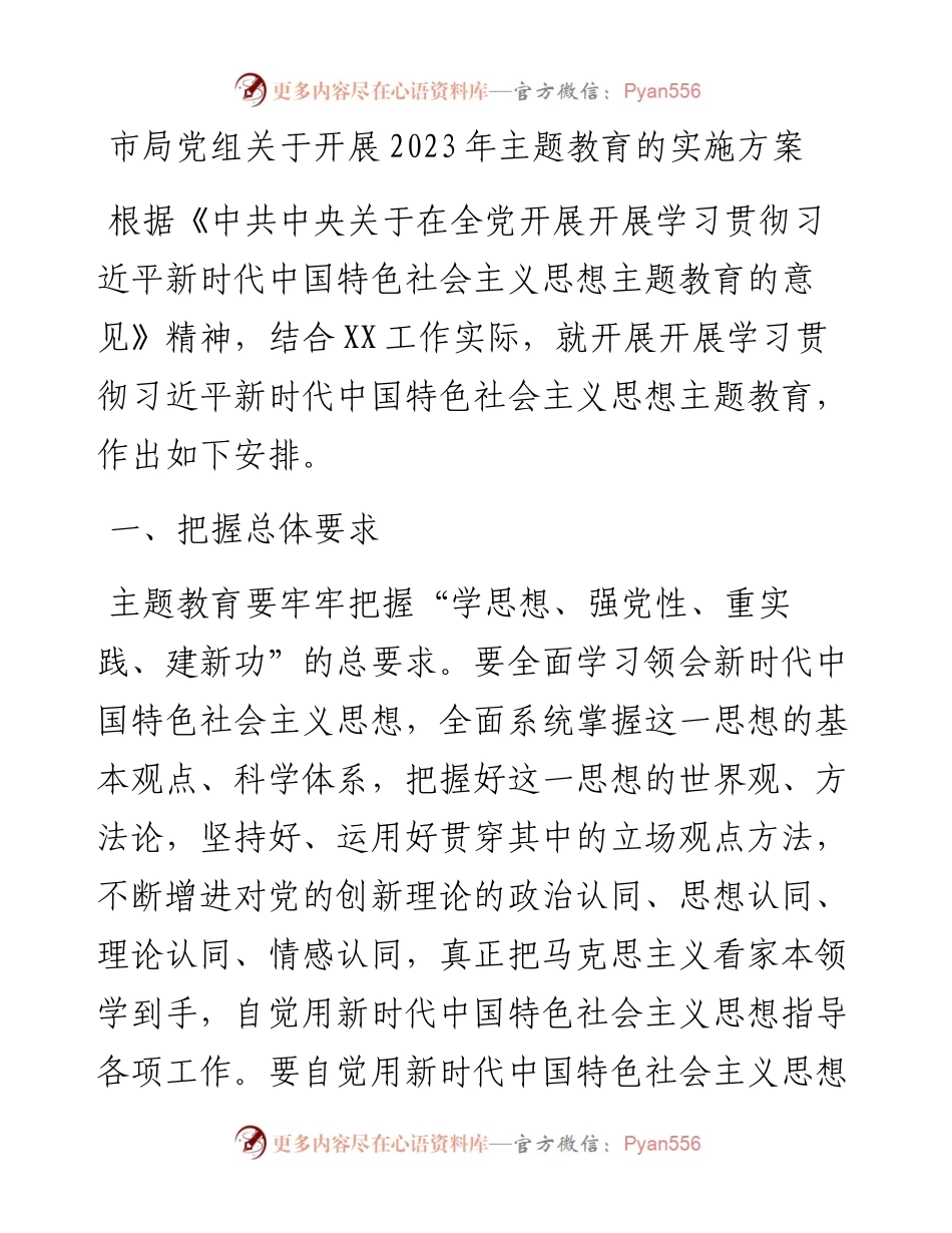 市局党组关于开展2023年主题教育的实施方案.docx_第1页
