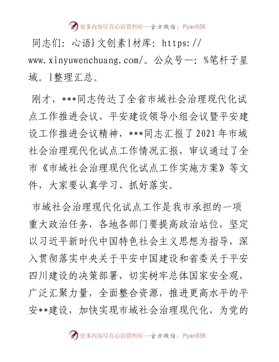 市域社会治理现代化试点工作领导小组会议总结讲话提纲.docx_第1页