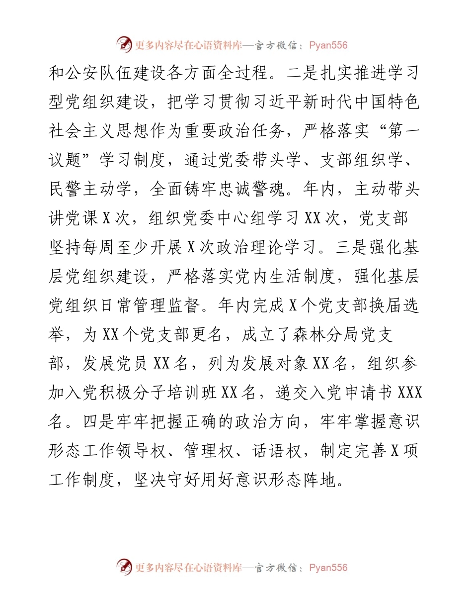市公安局党委书记抓基层党建工作述职报告.docx_第2页