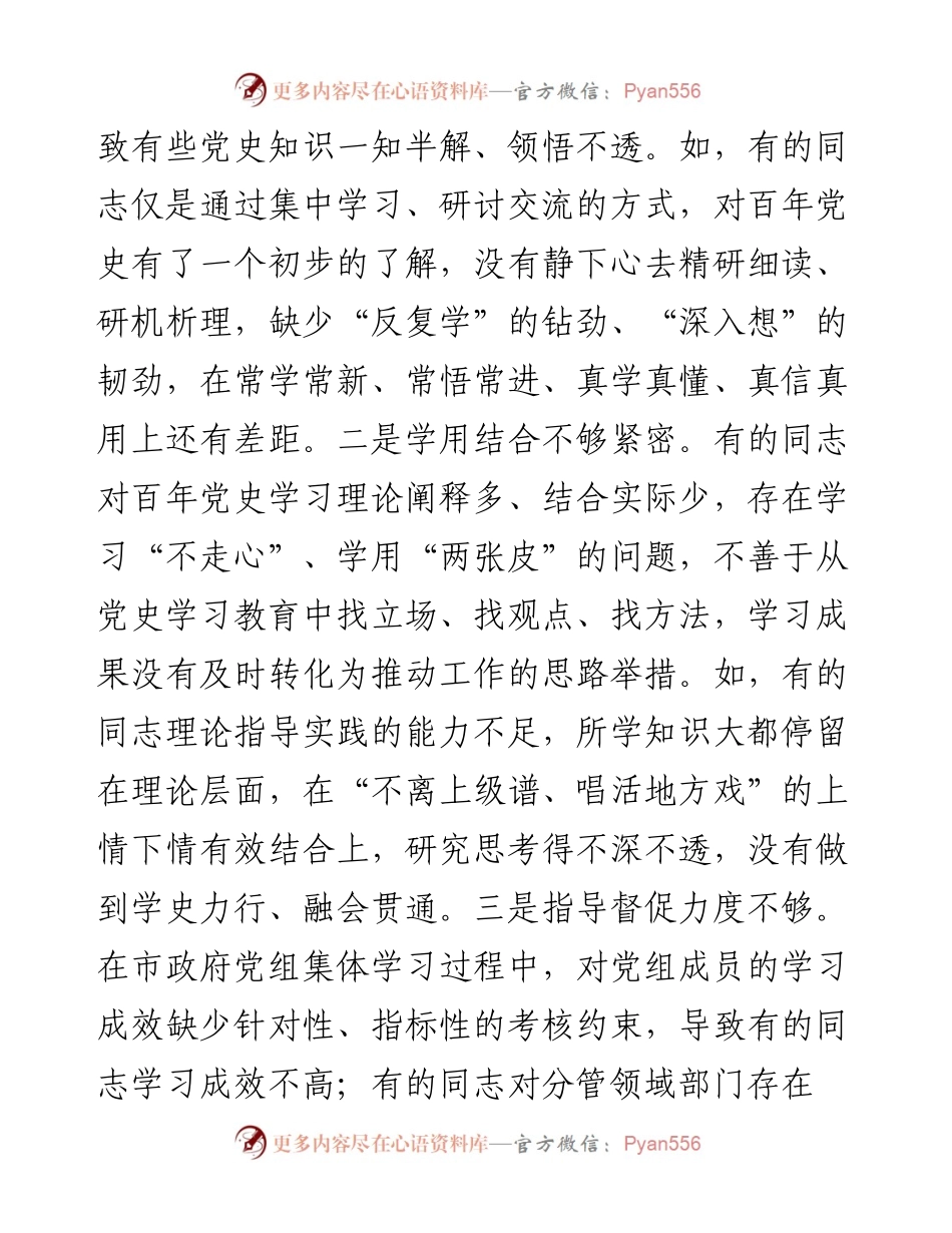 市政府党组民主生活会对照检查材料.docx_第2页
