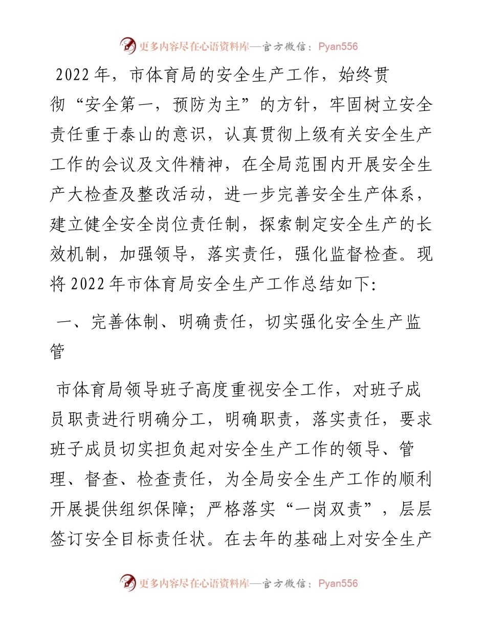市体育局安全生产工作汇报.docx_第1页