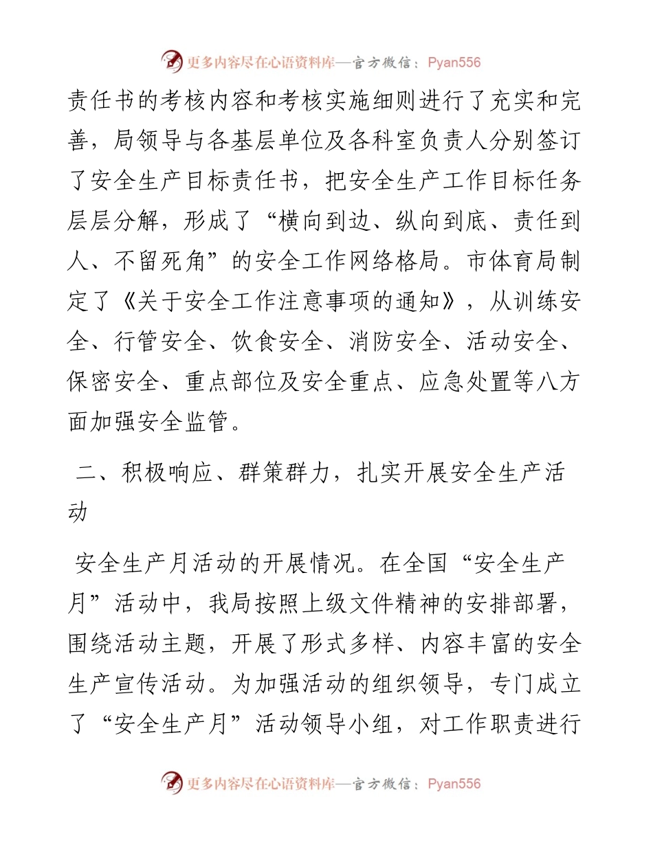 市体育局安全生产工作汇报.docx_第2页