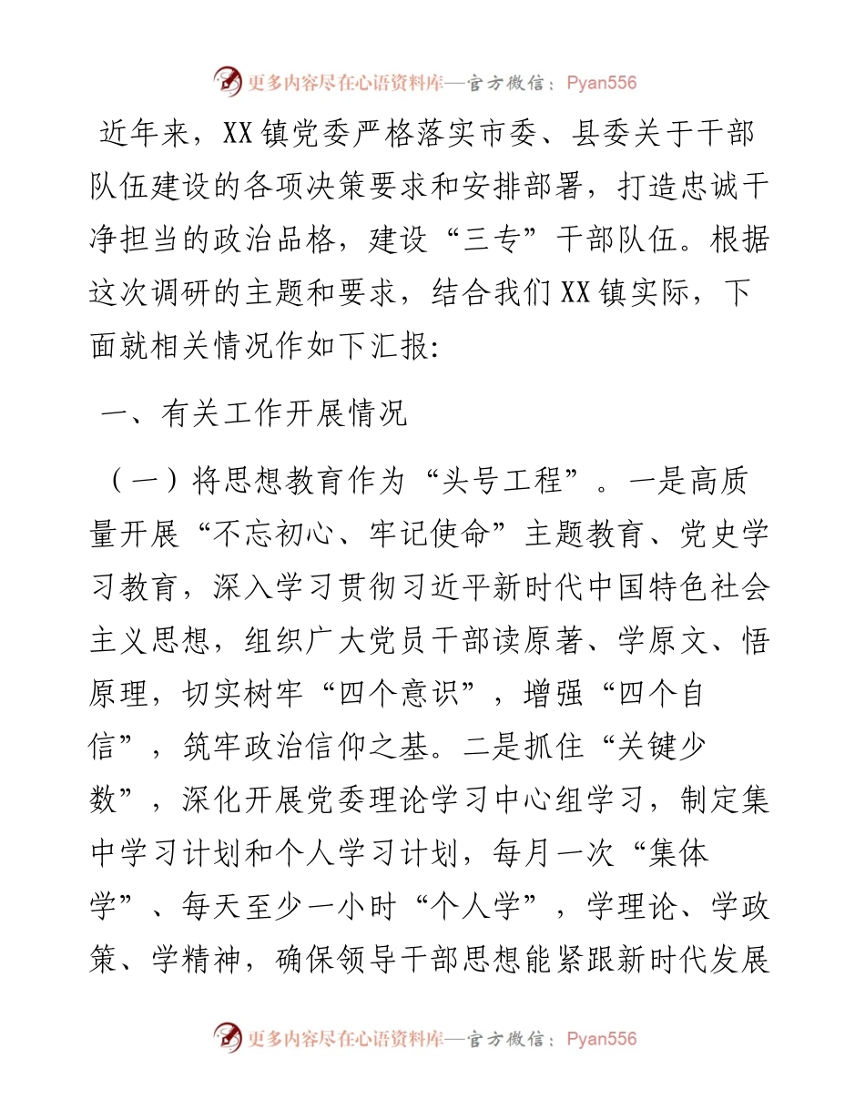 干部队伍建设调研座谈报告.docx_第1页