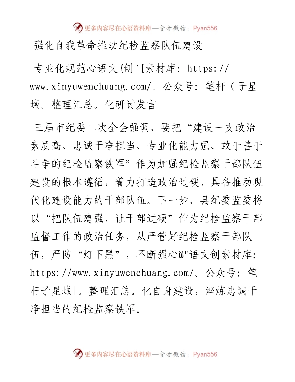 强化自我革命推动纪检监察队伍建设专业化规范化研讨发言.docx_第1页