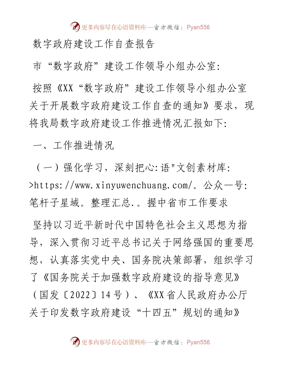 数字政府建设工作自查报告.docx_第1页