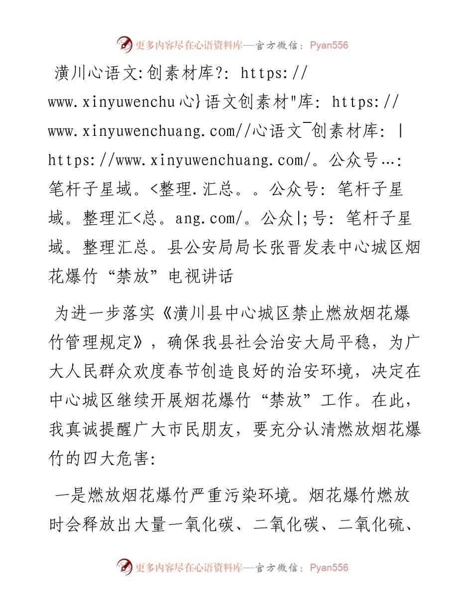 张晋：中心城区烟花爆竹“禁放”电视讲话摘要.docx_第1页