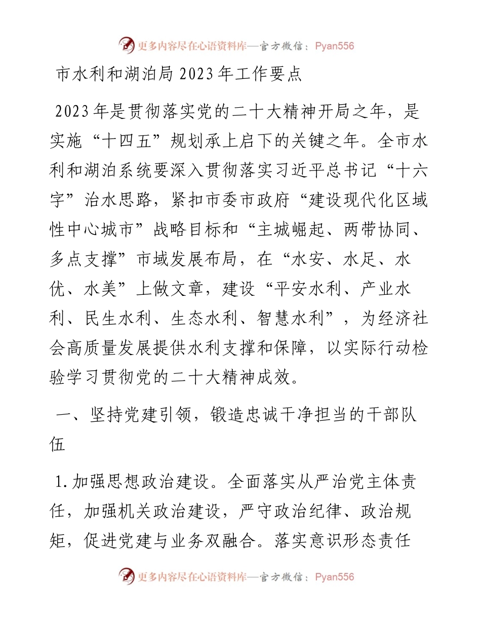 市水利和湖泊局2023年工作要点.docx_第1页