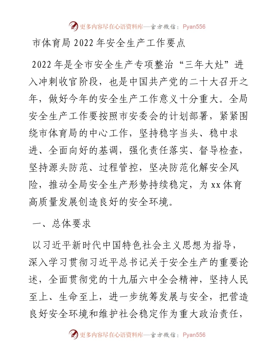 市体育局202X年安全生产工作要点.docx_第1页