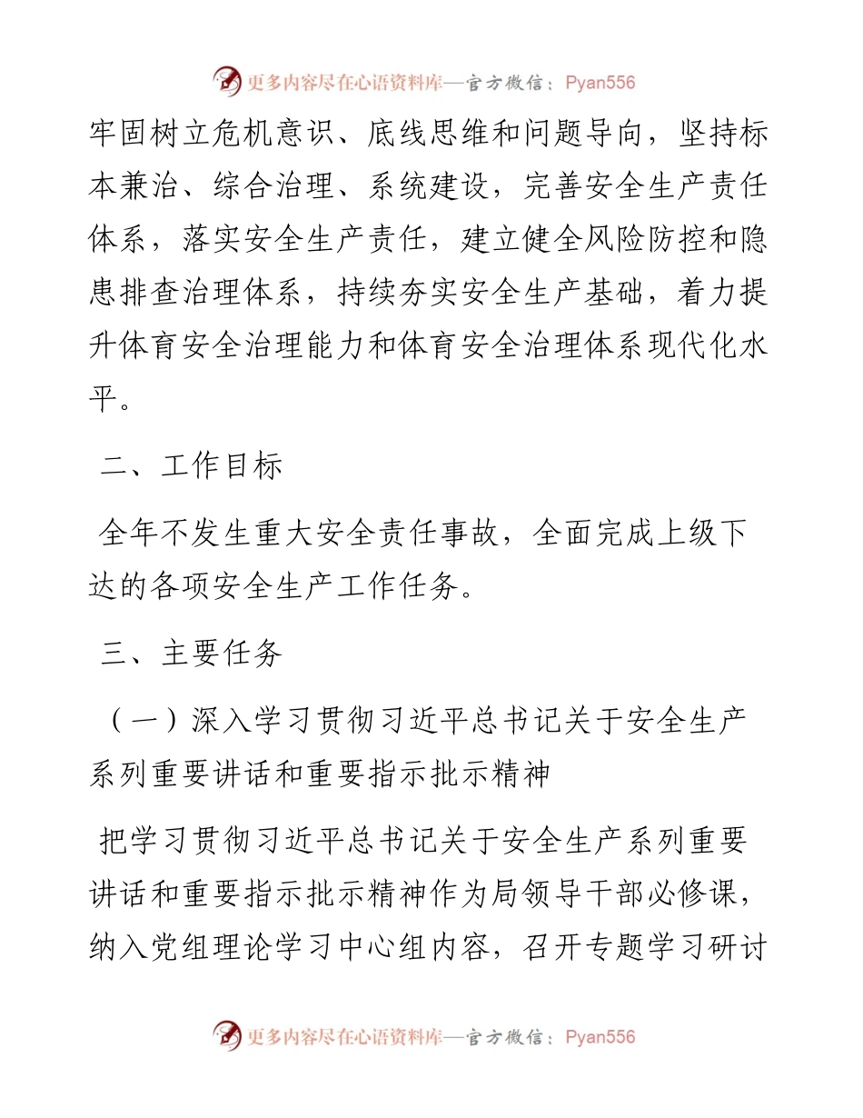 市体育局202X年安全生产工作要点.docx_第2页