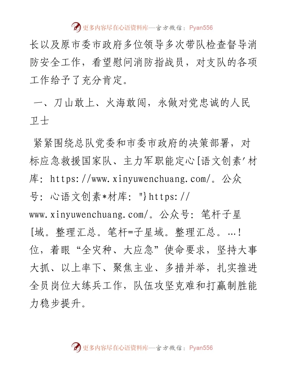 市消防救援支队典型经验汇报材料.docx_第2页