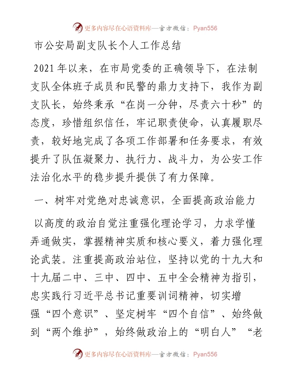 市公安局副支队长个人工作总结.docx_第1页