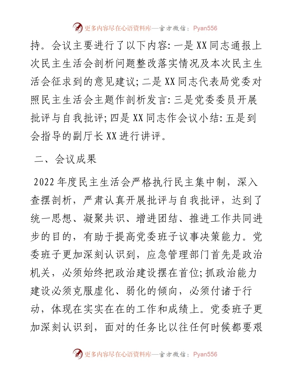 应急管理局党委关于召开度专题民主生活会情况的报告.docx_第2页