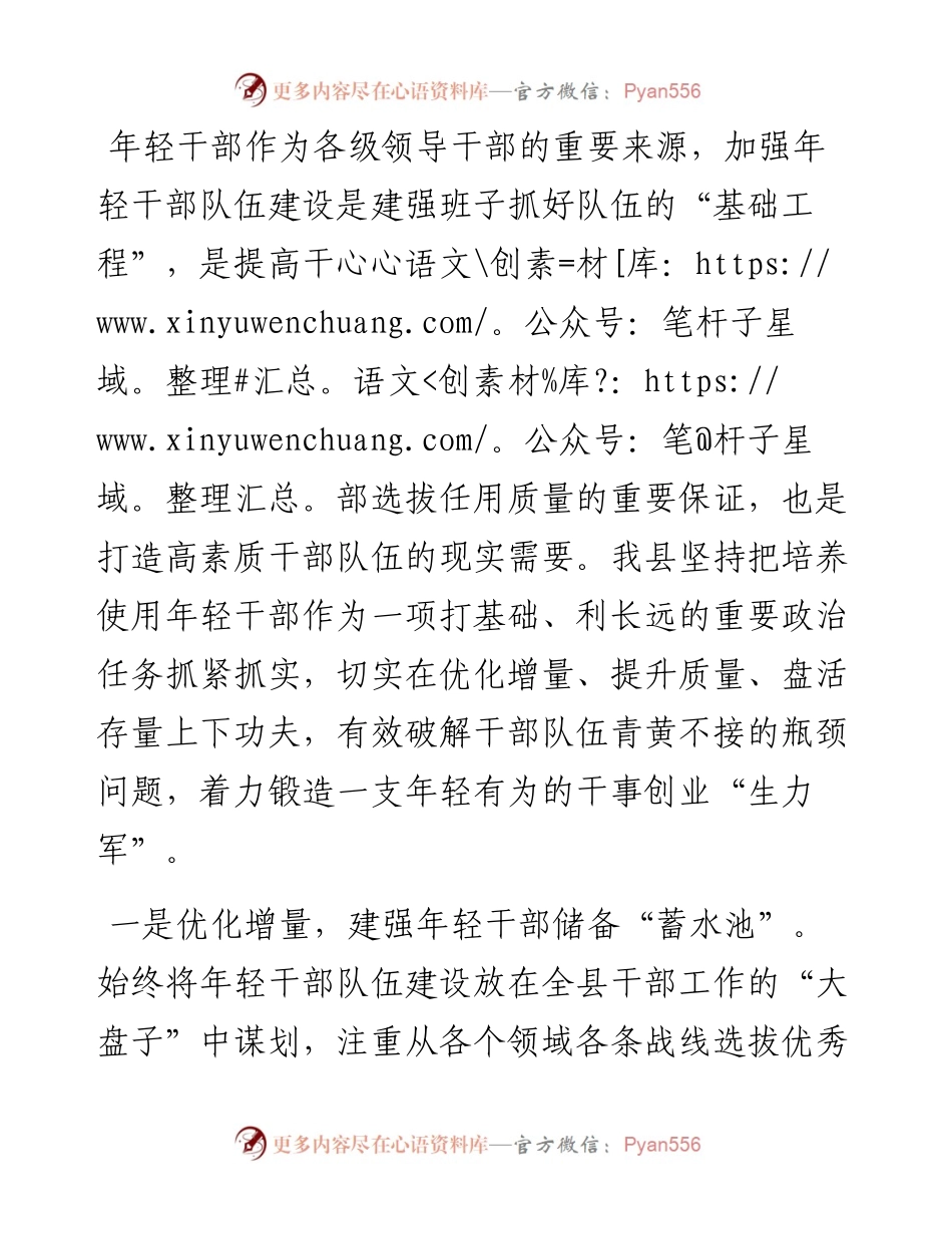 年轻干部队伍建设工作座谈发言.docx_第1页