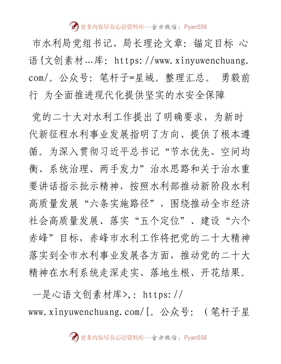 市水利局党组书记、局长学习二十大精神理论文章：锚定目标  勇毅前行 为全面推进现代化提供坚实的水安全保障.docx_第1页