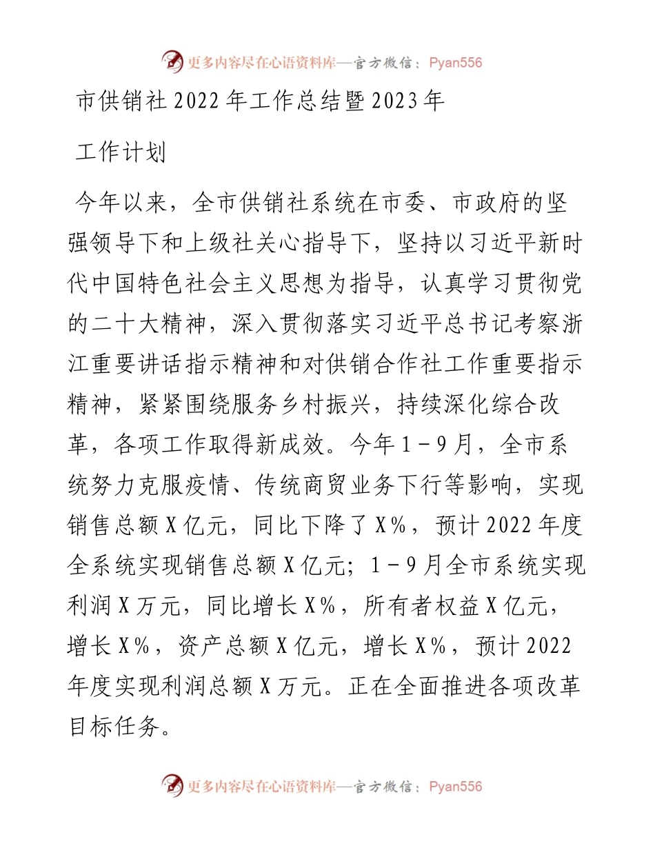 市供销社工作总结暨2023年工作计划.docx_第1页