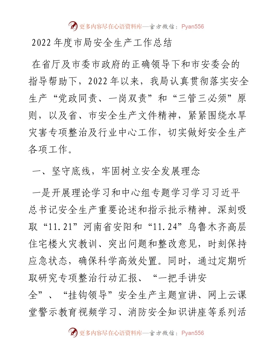 度市局安全生产工作总结.docx_第1页