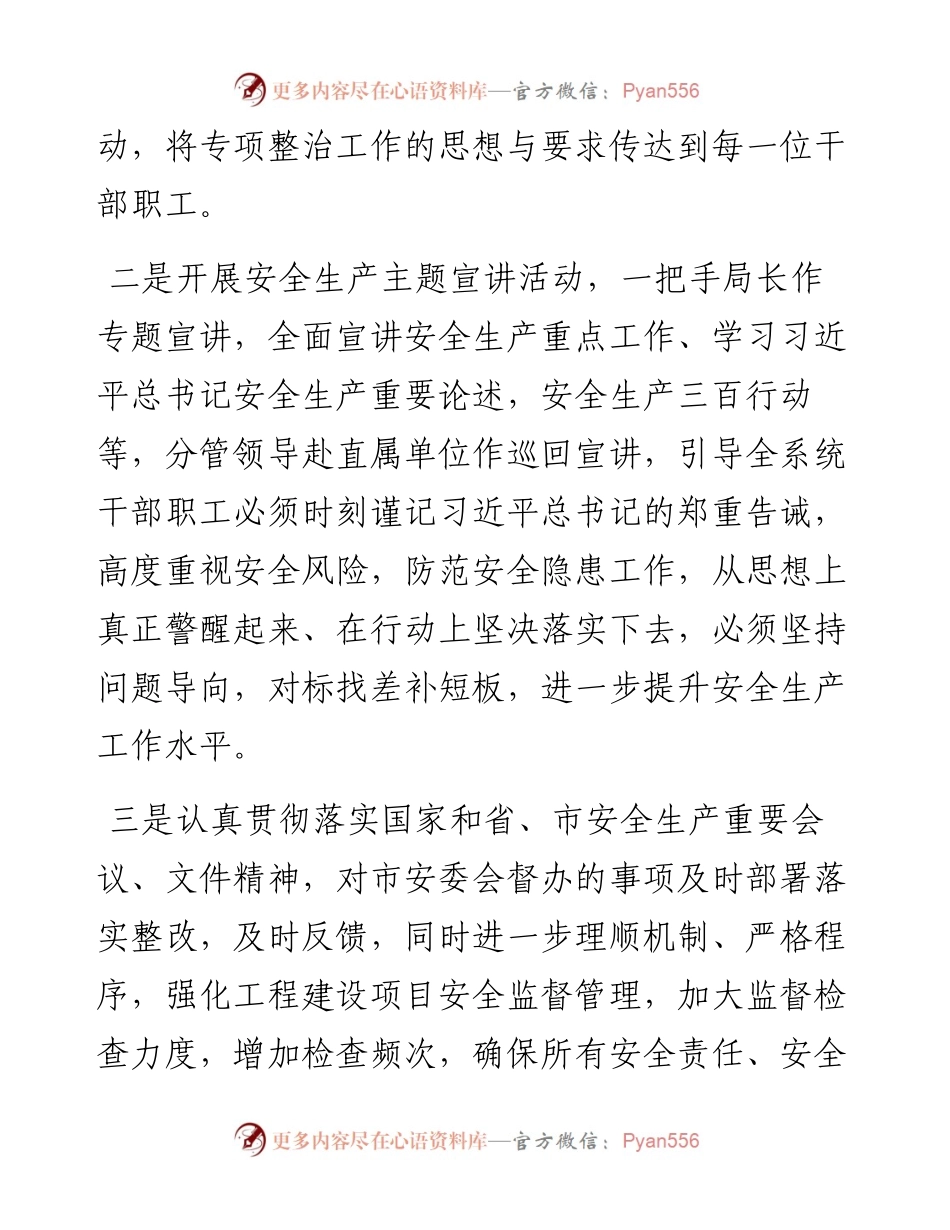 度市局安全生产工作总结.docx_第2页