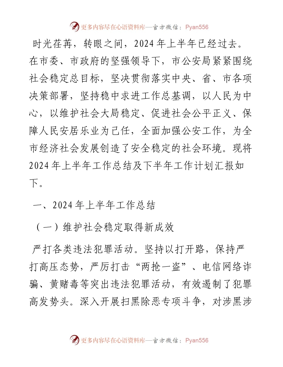 市公安局2024年上半年工作总结及下半年工作计划.docx_第1页