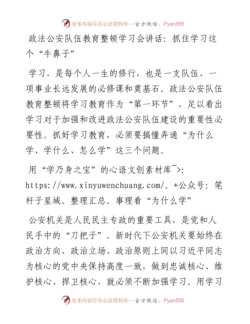 政法公安队伍教育整顿学习会讲话：抓住学习这个“牛鼻子”.docx_第1页