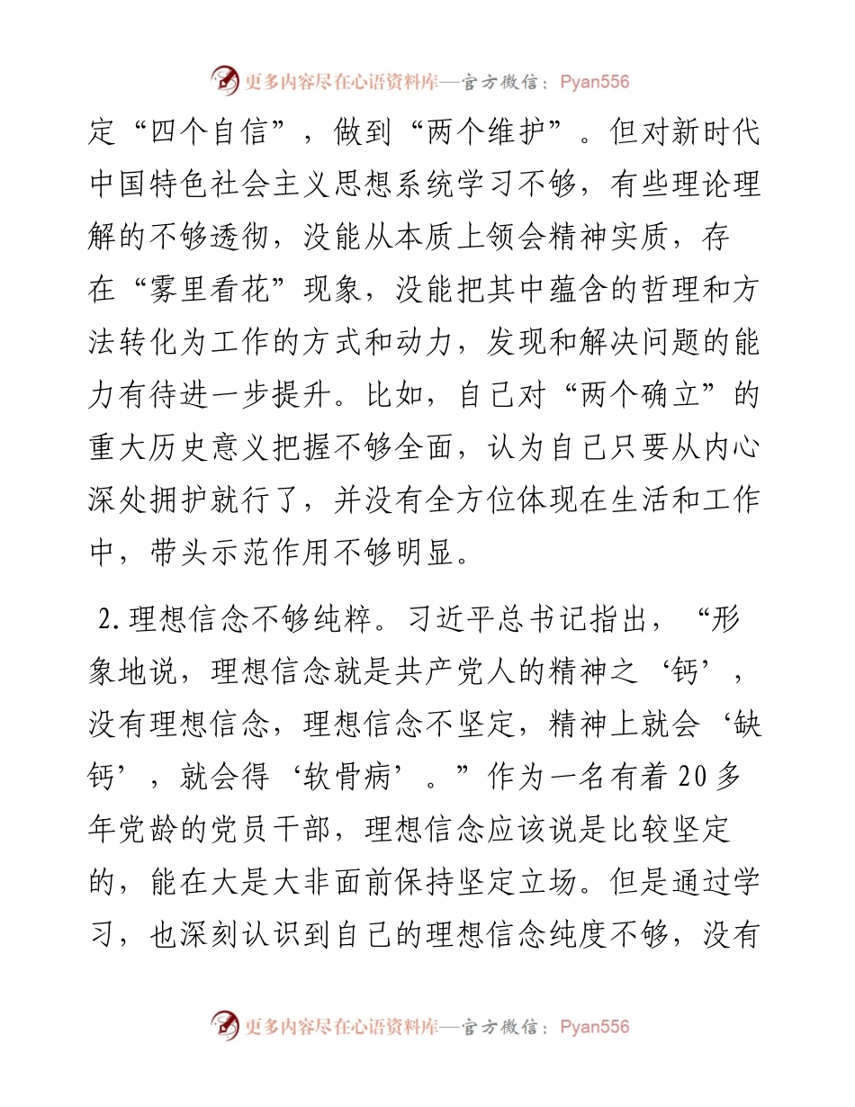 政府副县长度民主生活会发言提纲.docx_第2页