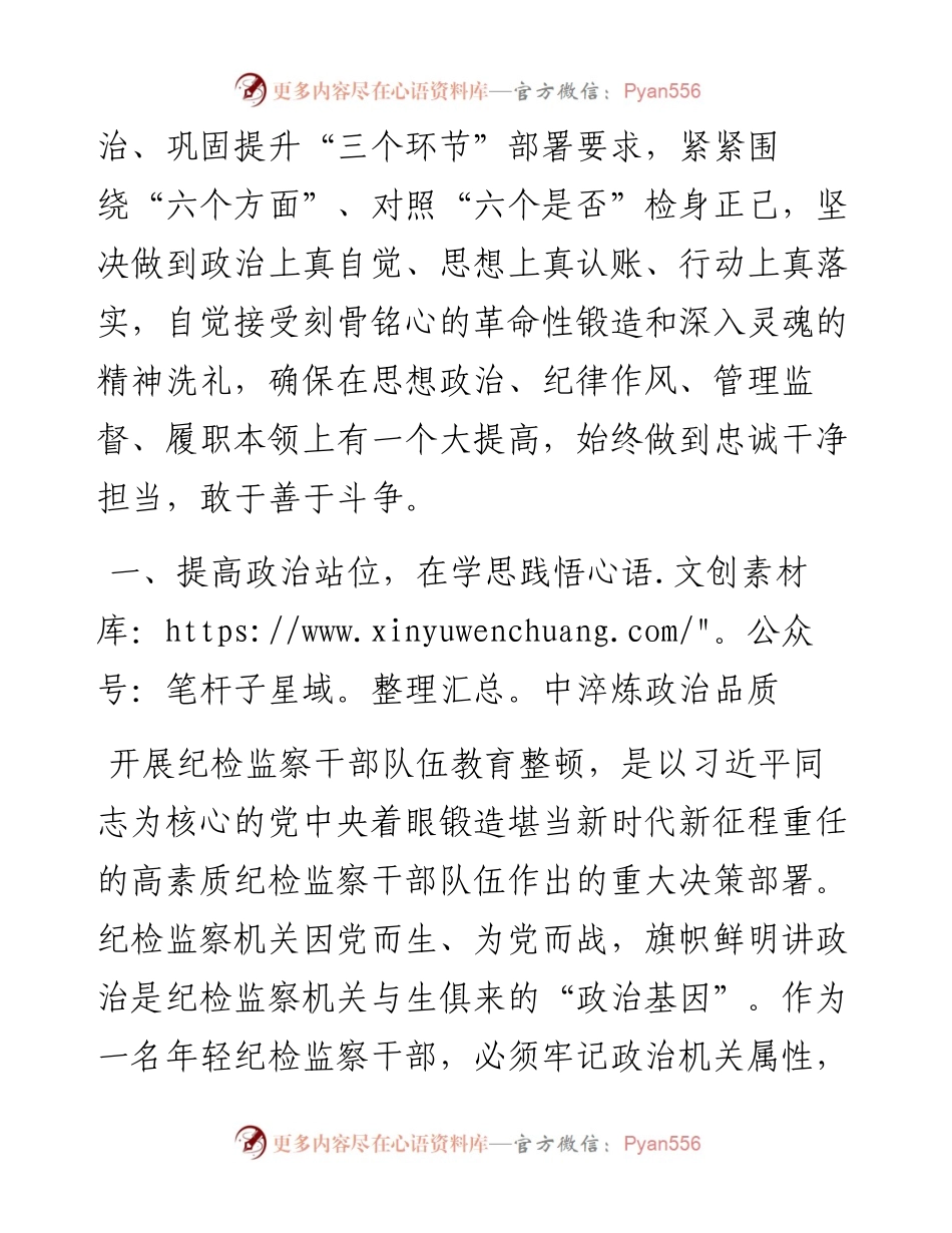 年轻纪检干部在纪检监察干部队伍教育整顿学习交流会上的研讨发言材料.docx_第2页