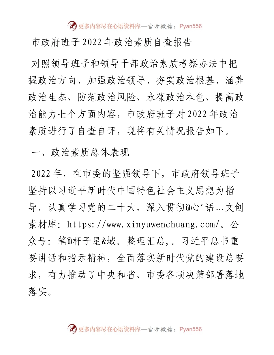 市政府班子政治素质自查报告.docx_第1页